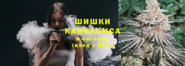стаф Балахна