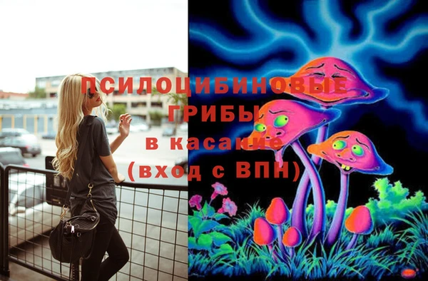 мяу мяу мука Балабаново