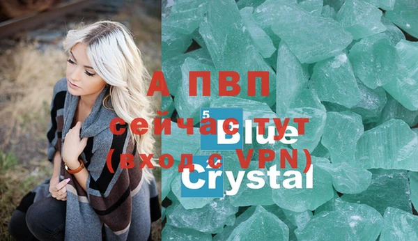 гашик Покровск