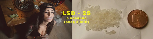 стаф Балахна