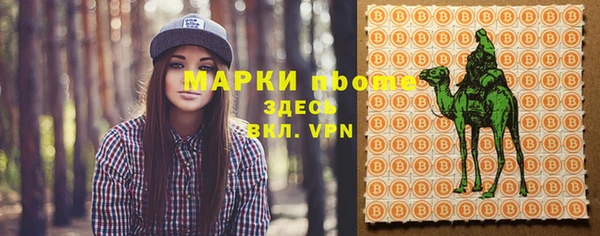 стаф Балахна