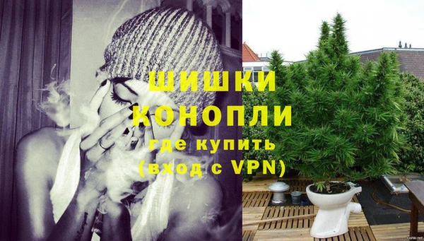 стаф Балахна