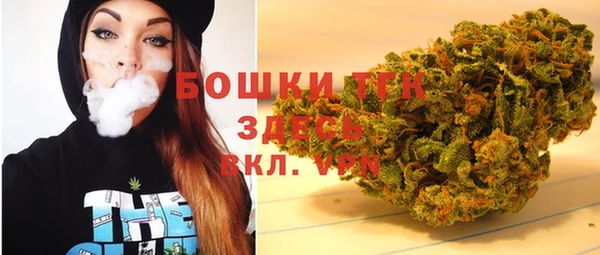 стаф Балахна